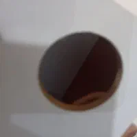 لانه طوطی عروس هلندی