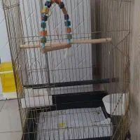 عروس هلندی