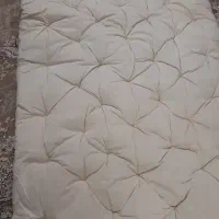 تشک پشمی