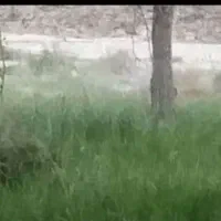 موتور آب کشاورزی