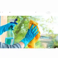 کار درمنزل نظافت