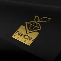 طراحی لوگو کارت ویزیت تراکت سربرگ پوستر