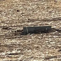 180متر-زمین-بلوار-زرین-کوب-سروستان