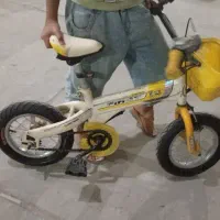 دوچرخه ۲۴ دوچرخه۱۲|دوچرخه، اسکیت، اسکوتر|بندرعباس, |دیوار