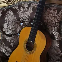 گیتار وفایی