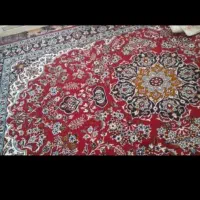 قالی ۶ متری