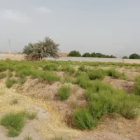 فروش حق الورثه|فروش زمین و ملک کلنگی|بناب, |دیوار