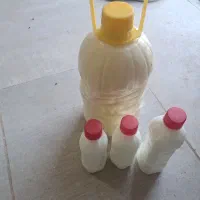 روغن و شیر الاغ کاملاخالص