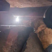 جوشکاری سیار|خدمات پیشه و مهارت|مسجد سلیمان, |دیوار