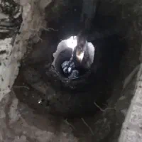 حفر چاه نو.تخلیه چاه.لوله بازکنی.|خدمات پیشه و مهارت|اسلامشهر, شاطره|دیوار