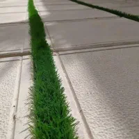 کارگر با سابقه کار