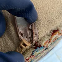 سمپاشی منازل سوسک ساس تضمینی بامجوز رسمی