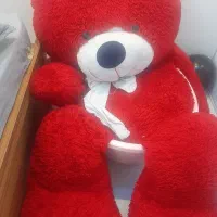 خرس ولنتاین