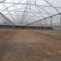 طراحی و ساخت و اجرای گلخانه|عمدهفروشی|صفادشت, |دیوار