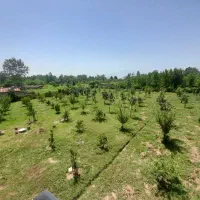 فروش ویلا باغ|فروش خانه و ویلا|رشت, لاکان|دیوار