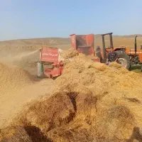 کاه گندم|عمدهفروشی|قشلاق دشت, |دیوار