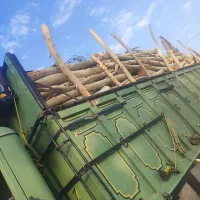 خریدانواع چوب