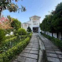 نیمپیلوت-مستقل-پایانکار-زیرقیمت-پلاک-یک-جنگل