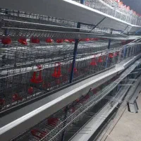 قفس مرغ تخمگذار سه طبقه