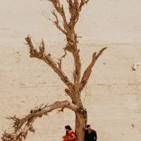 فیلم وعکس حرفه‌ای مراسم وفرمالیته هوایی و زمینی|خدمات پذیرایی، مراسم|بندرعباس, |دیوار