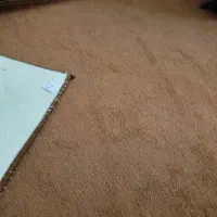 موکت و تابلو فرش|موکت|مریوان, |دیوار