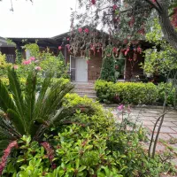 اگه میخوای حس باغ ویلا رو تجربه کنی اینوبخر
