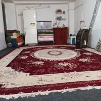 سوعیت مرتب و تمیز