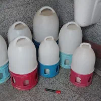 آبخوری پرنده