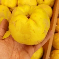 بِه اصفهان خوش عطر و طعم + هایپر میوه گلچین|خوردنی و آشامیدنی|شاهدشهر, |دیوار