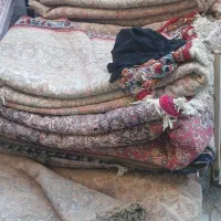 فرش کهنه کرایه ای|فرش|اسدآباد, |دیوار