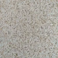 برنج علی کاظمی دشت سیلاخور با قیمت منصفانه