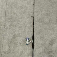 یک لنسر مخصوص اسپینیگ برای غزل گیری باکیفیت