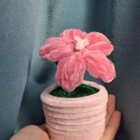 گل پیپ پاک کنی و جاسوئیچی