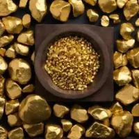 انگشتر مادر پیرم گم شده