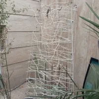 محافظ دیوار  شاخ گوزنی