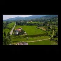 سوییت جنگلی اجاره ای در دل طبیعت