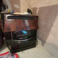 بخاری بزرگ و سالم