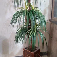 گل نخل مصنوعی