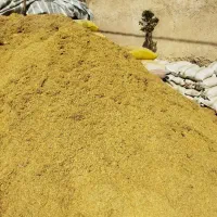 خرید و فروش کاه گندم و عدس|لوازم جانبی حیوانات|خلخال, |دیوار