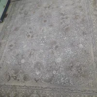 فرش وزرا|فرش|قزوین, |دیوار