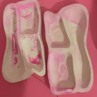 ظروف پذیرایی