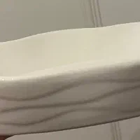 دیس زیبا نو نو