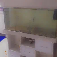 اکواریوم شیشه خم یک متری با میز پایه|ماهی|مشکیندشت, |دیوار