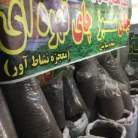 حراج در حراج چای اینجاست مستقیم از باغ چای