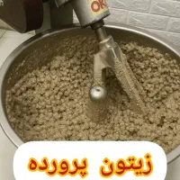 زیتون پروده مزه گیلان