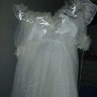 لباس عروس فوقالعاده براق وخاص(توضیحات مهم)|لباس|تهران, عبدلآباد|دیوار