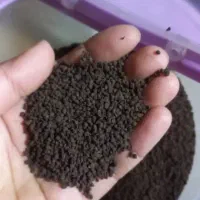 چای کله مورچه سی تی سی|عمده‌فروشی|تهران, شهمیرزادی|دیوار