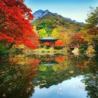 تورشمال،تور بوژان