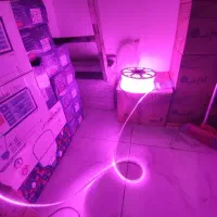 ریسه وایرلس