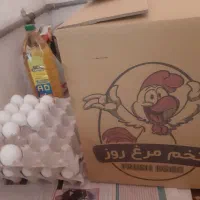 تخم مرغ